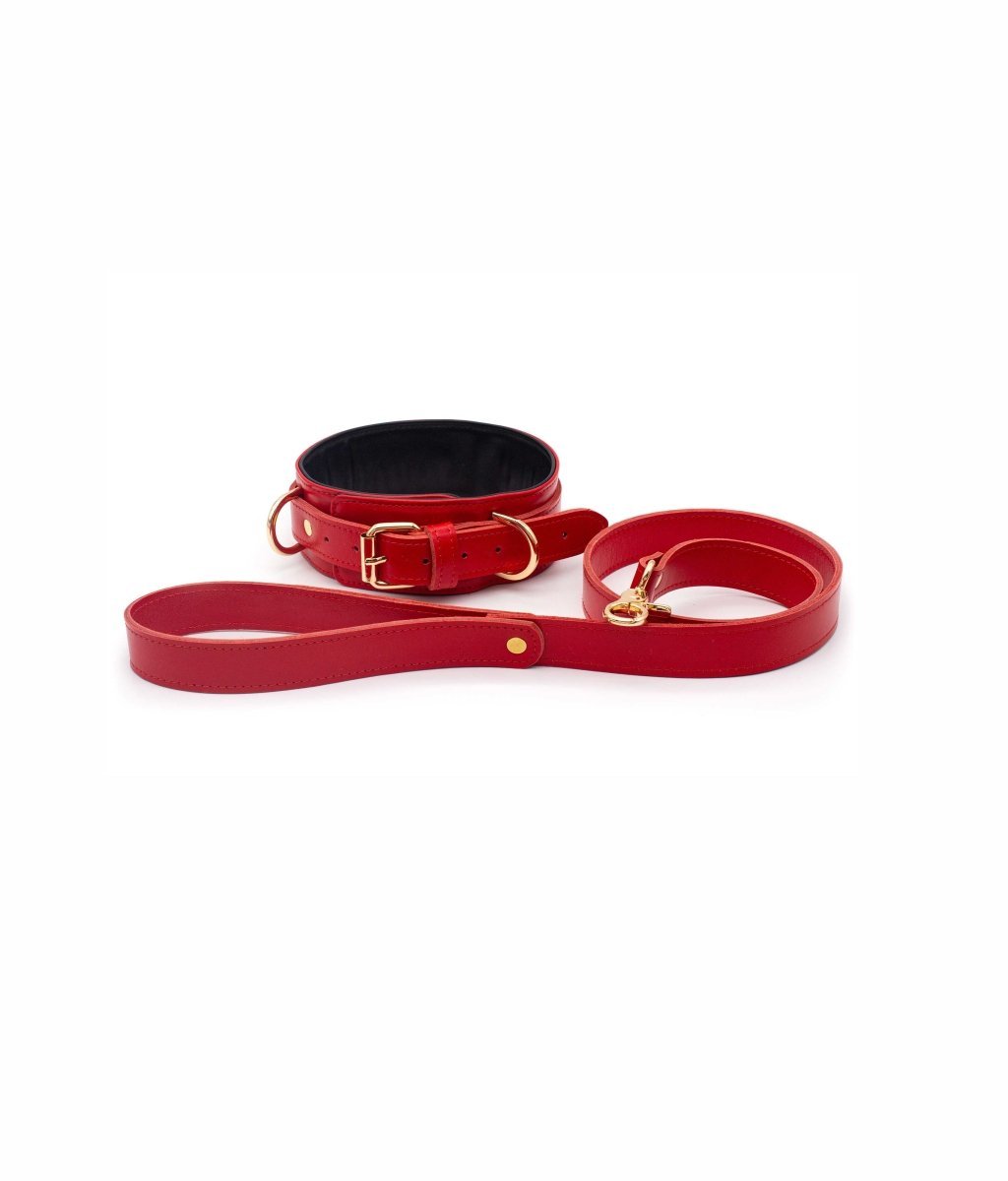 Boldessa® Black Collar with Leash