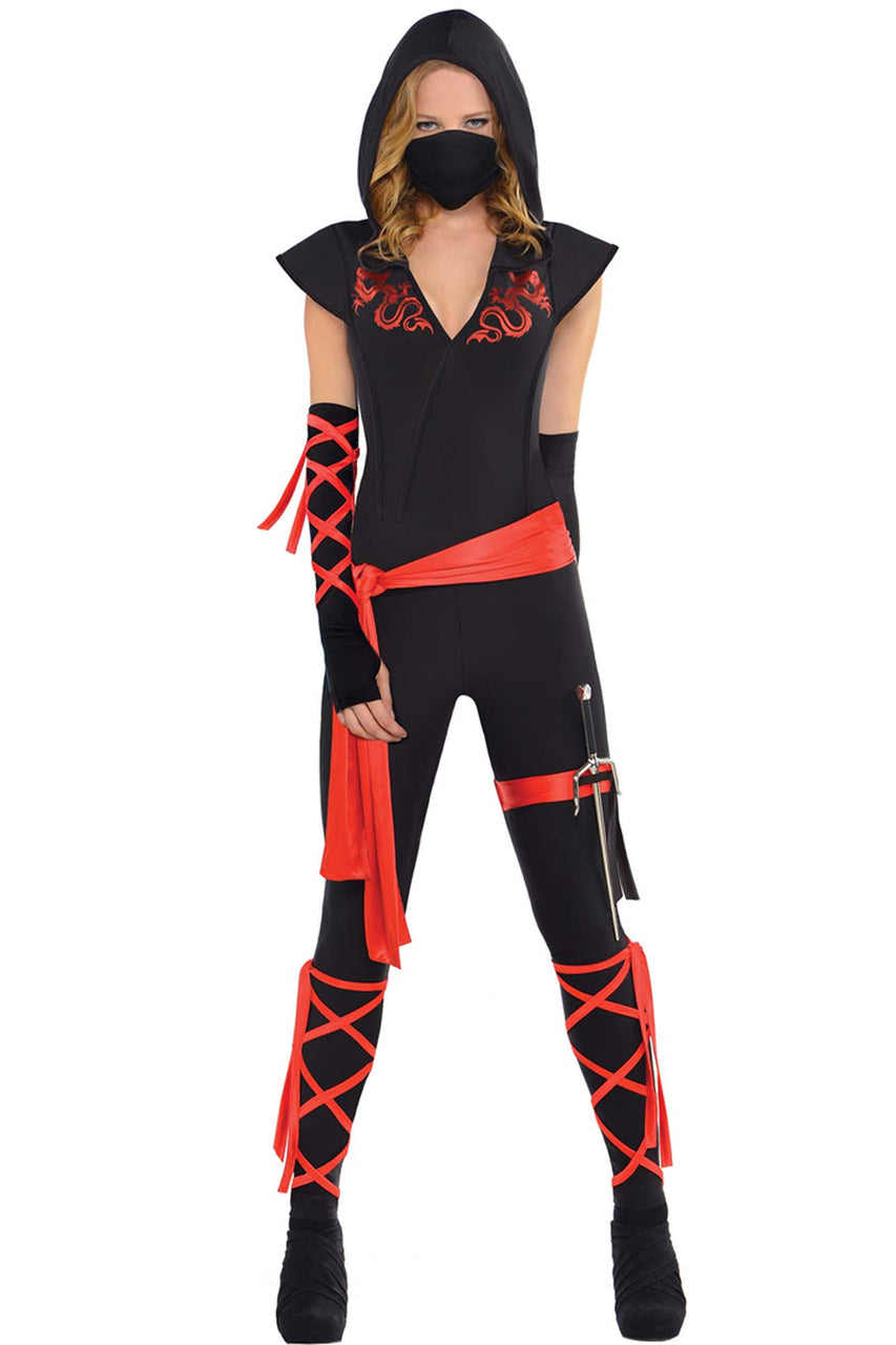 Dragon Fighter Costume