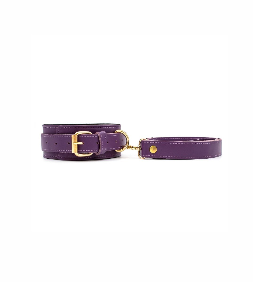 Boldessa® Black Collar with Leash