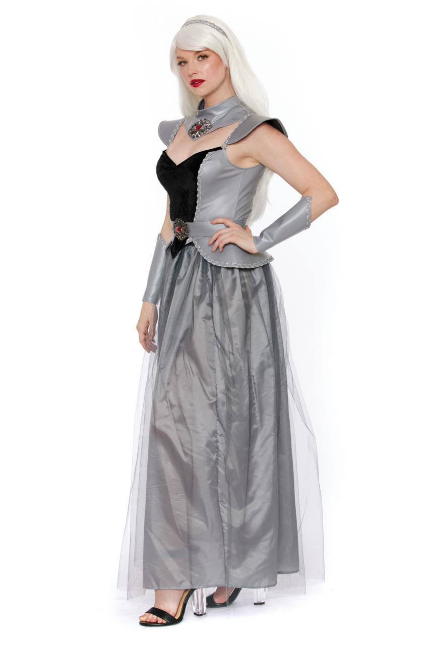 Dragon Queen Costume