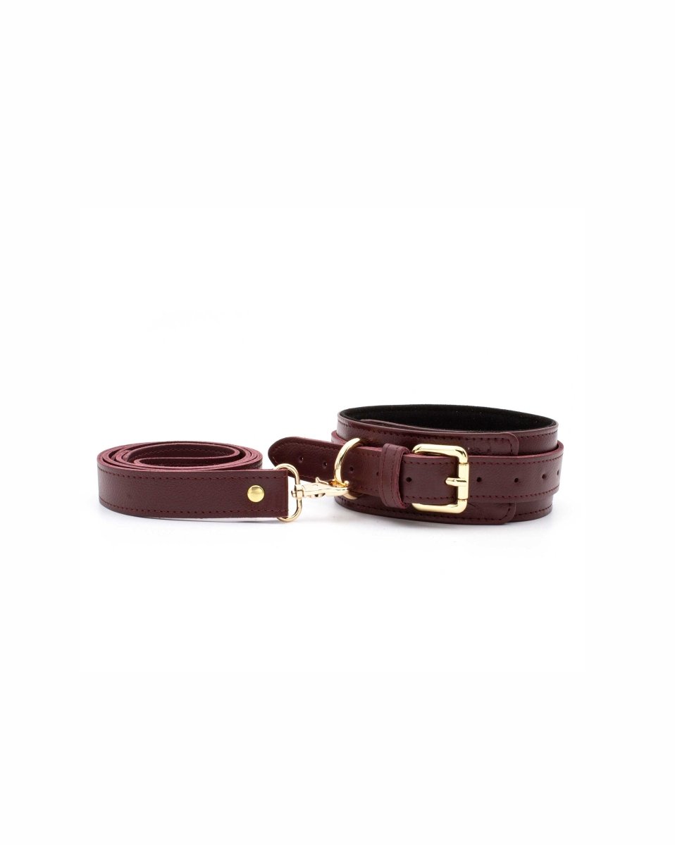Boldessa® Black Collar with Leash