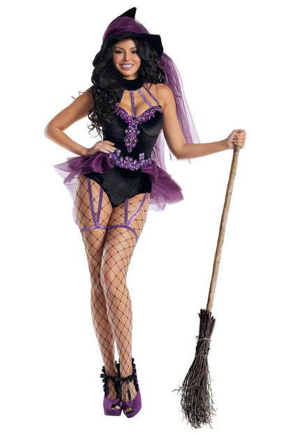 Sugar Plum Witch Costume
