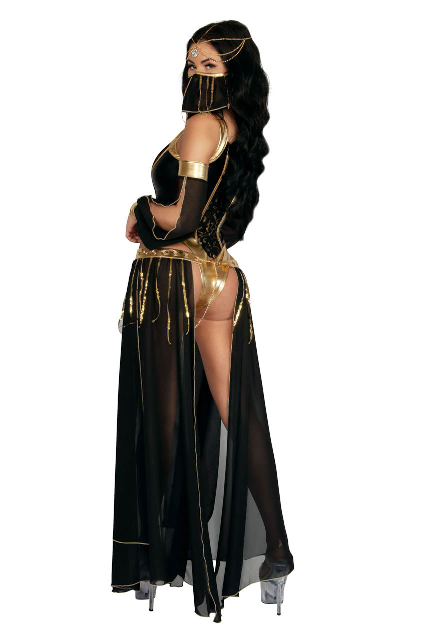 Dark Harem Nights Costume