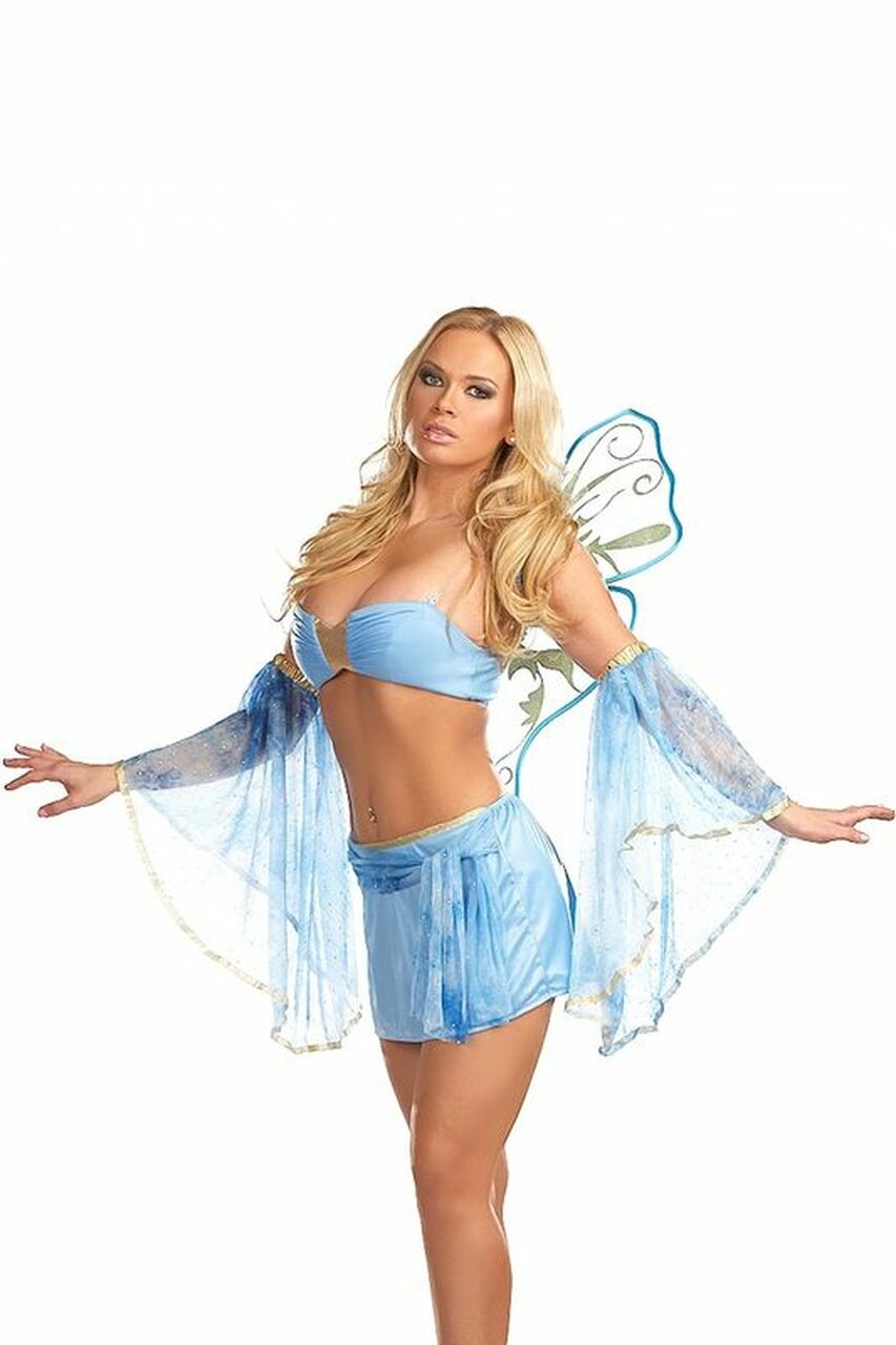 Nicolette Fairy Costume
