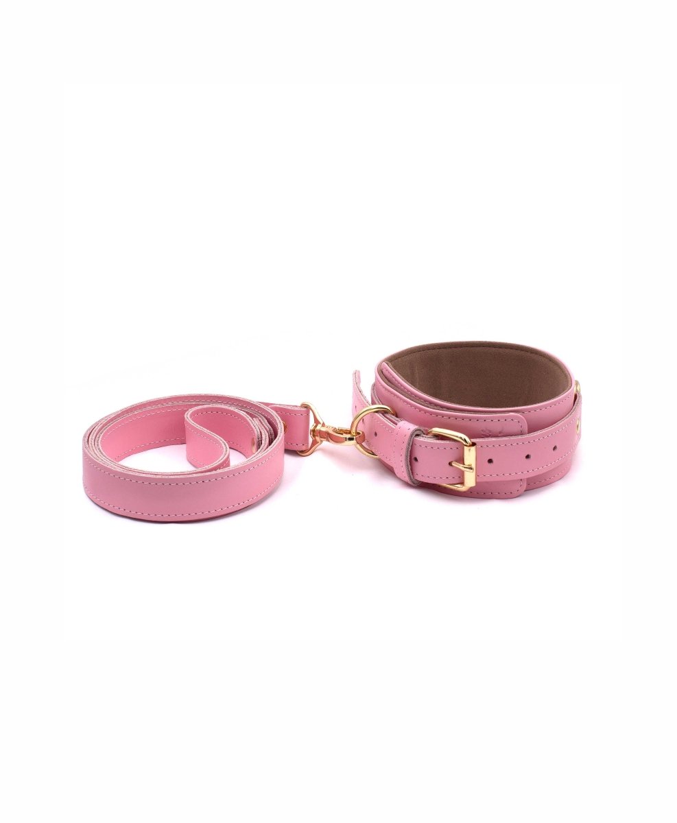 Boldessa® Black Collar with Leash