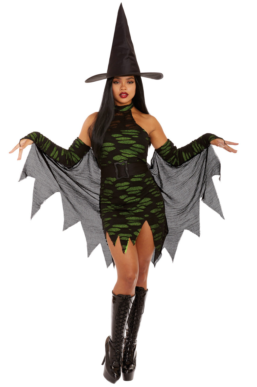 Miss Enchantment Witch Costume