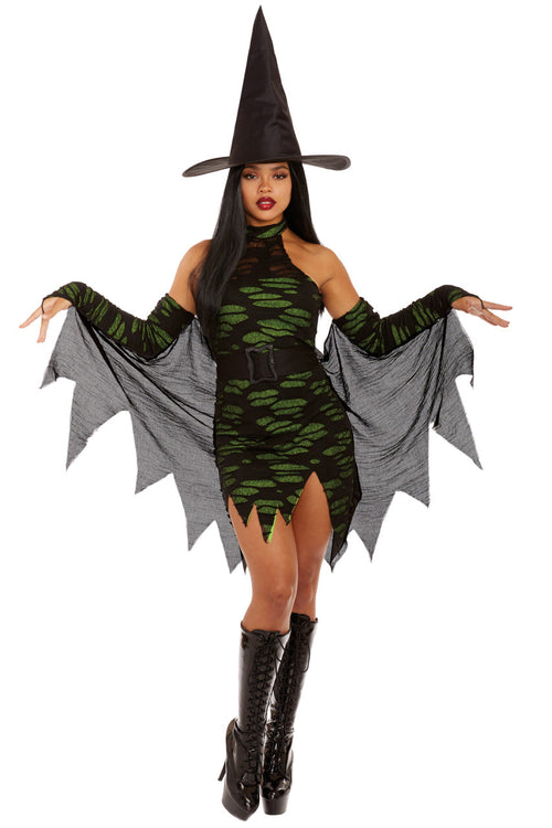 Miss Enchantment Witch Costume