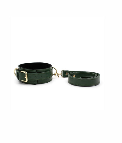 Boldessa® Black Collar with Leash