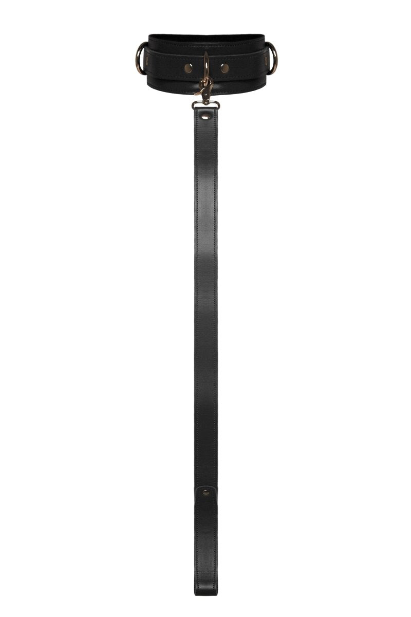 Boldessa® Black Collar with Leash