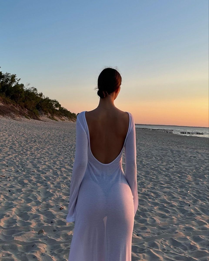 Sheer Backless Dress